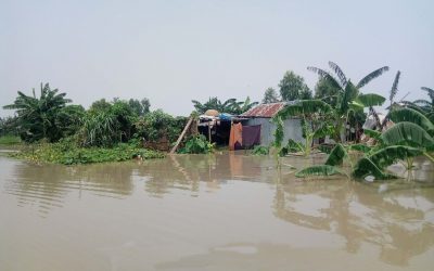 タンガイル地方の13,500ヘクタールの洪水で野菜、作物が被害