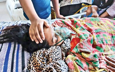 デング熱で死ぬ5人、さらに541人が病気