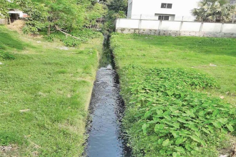 タンガイルの町の世紀の運河が蚊の繁殖センターに変わります