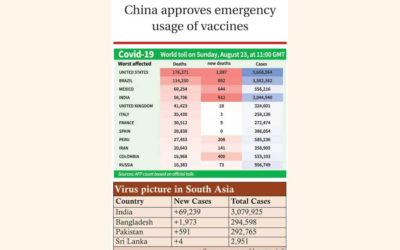 世界の死者数809,445