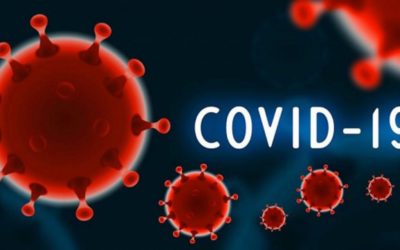 Covid-19症例、死亡は遅い