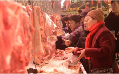 中国8月の肉の輸入は落ちる