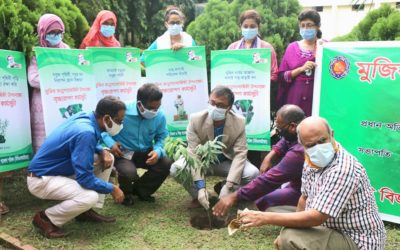 Md Aftab Ali Sheikh博士が苗木を植える