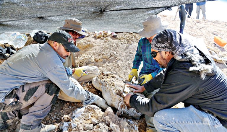 チリの砂漠で見つかったジュラ紀の海の捕食者の遺跡