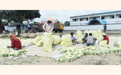 低所得層が野菜価格スパイラルに最悪の打撃を受けた
