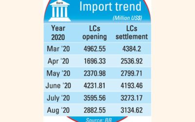 8月の輸入は20％減少