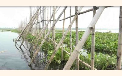 ブラーマンバーリアの水田農家が土地を守るために奮闘する