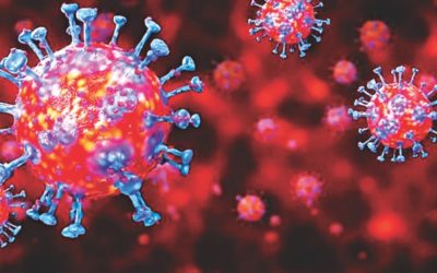 コロナウイルスは皮膚上で9時間生存します：研究