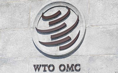 WTOは貿易の回復を見ているが、年末の減速の可能性が高い