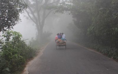 霧に覆われた村