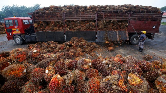価格の上昇により大豆油が魅力的になるため、インドはパーム油の購入を削減