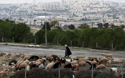 イスラエルはEエルサレム地域の決済計画を推進