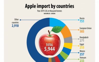 世界3位のリンゴ輸入国