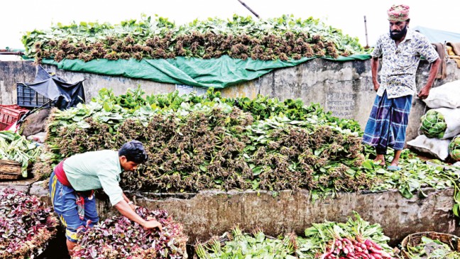 冬の収穫で野菜の価格が下がる