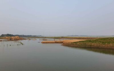 Haor Boroの畑は、堤防の作業が遅れて貧弱になりやすい