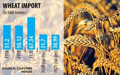 小麦の輸入が減少