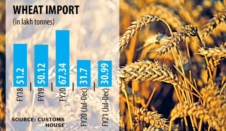 小麦の輸入が減少