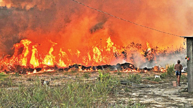 ブラジルの山火事が再び急増