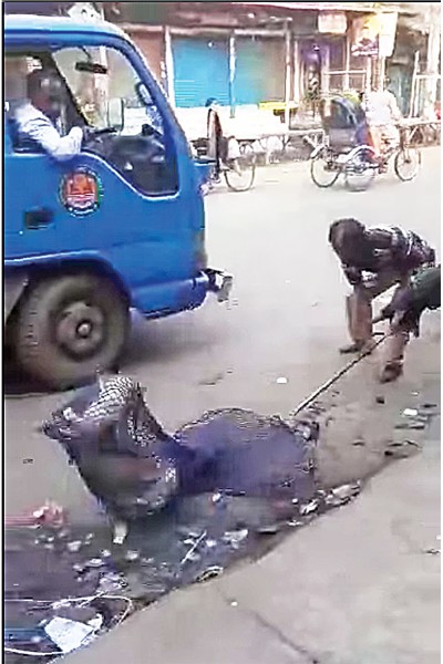 DSCCは野良犬を再び移動させますか？