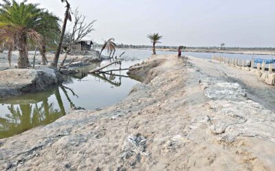 アンファンの余波：600家族がまだ堤防に住んでいます