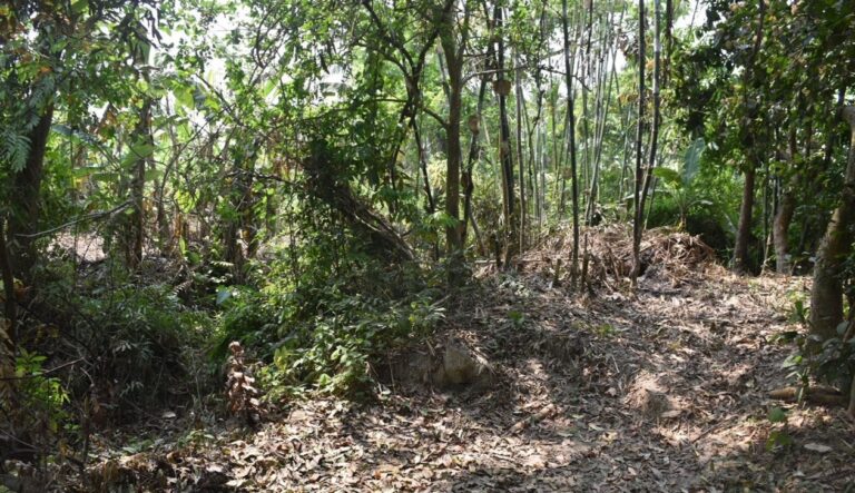 135人の大量殺戮：「MorarBhita」殺害現場にはまだ記念碑がない