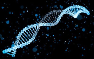 私のDNAのネアンデルタール人：Covid-19の結果への影響の可能性