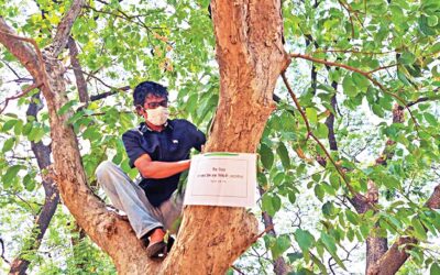 Suhrawardy Udyan：自由の闘士の名前が付けられた木