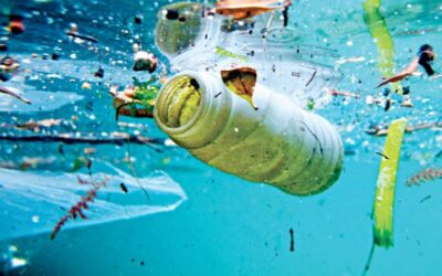 20社が55％の世界のプラスチック廃棄物を生産