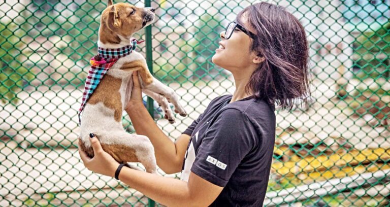 犬への恐怖心をコントロールする