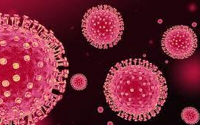 SARS-Cov-2感染は、複数のウイルスタンパク質に対する抗体反応を引き起こす可能性があります