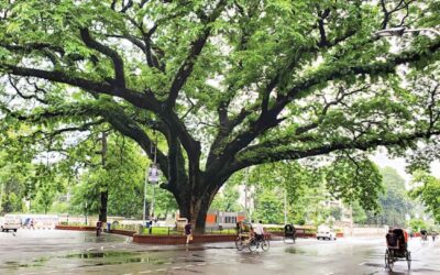 ダッカ大学の100年：幻想的な自律性と党派性