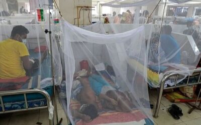 デング熱で1名死亡315名入院