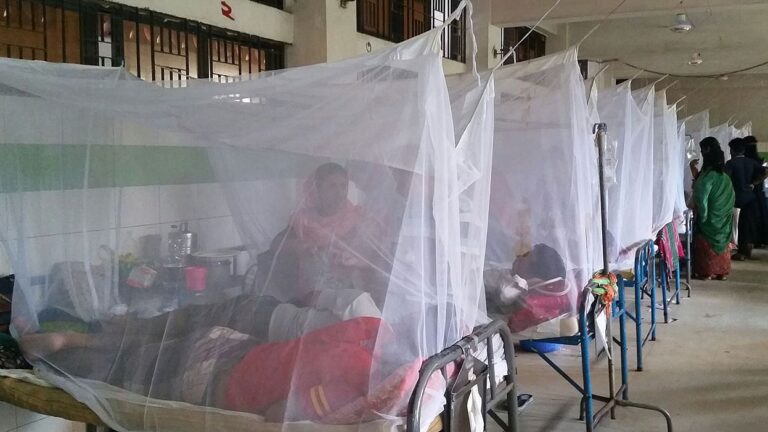 デング熱で1人死亡317人入院