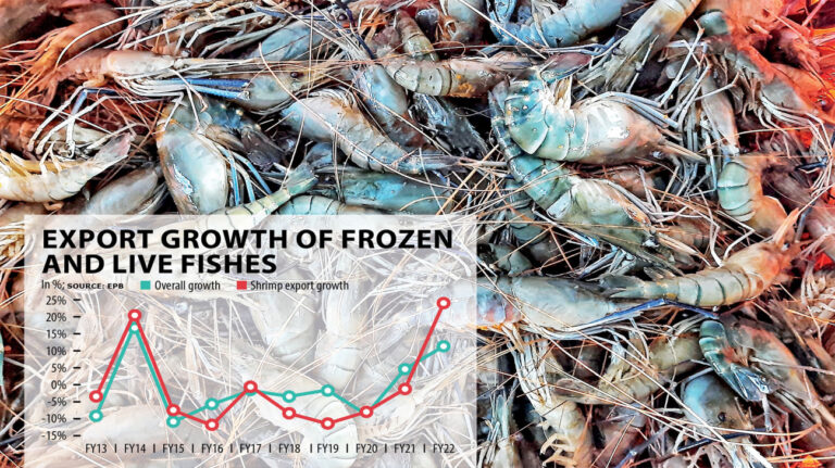 冷凍魚輸出6年ぶりの高水準