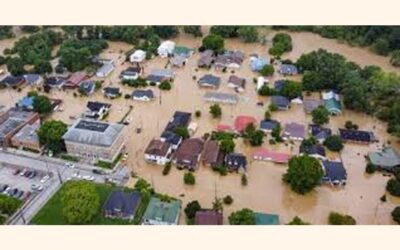 洪水により漁業、畜産部門で159億タカ以上の損失が発生：顧問