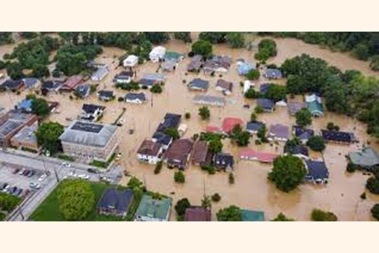 洪水により漁業、畜産部門で159億タカ以上の損失が発生：顧問