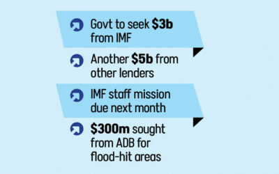 予算支援：政府はIMFや他の貸し手から80億ドルの支援を模索