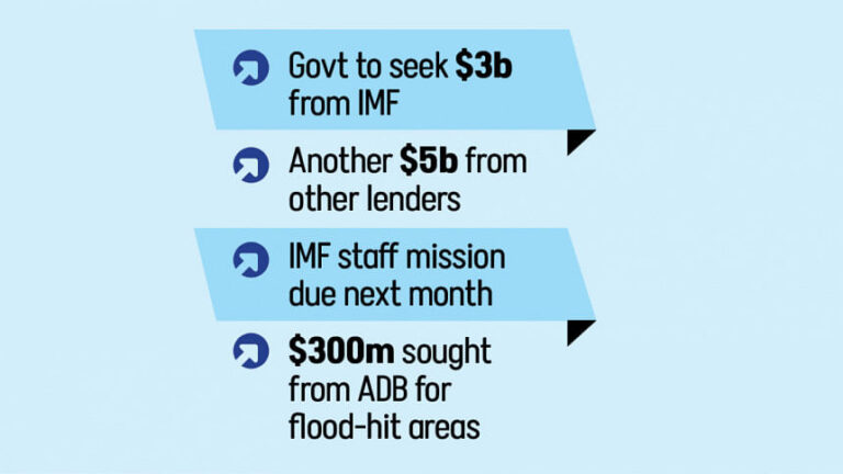 予算支援：政府はIMFや他の貸し手から80億ドルの支援を模索