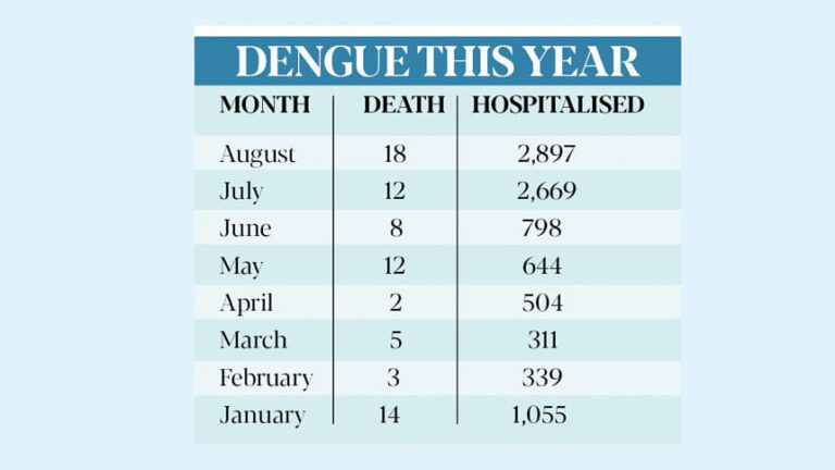 2024年のデング熱：8月はこれまでで最も死者数が多い月