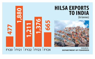 バングラデシュは今年、ヒルサをインドに輸出しない