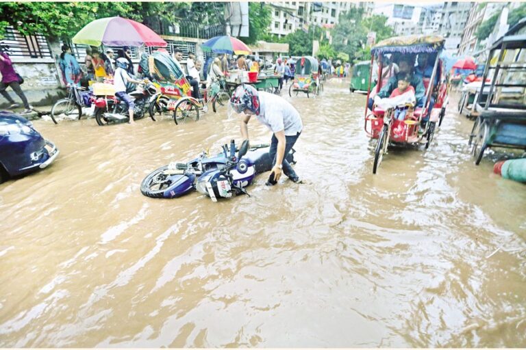 雨が街の暑さを和らげる