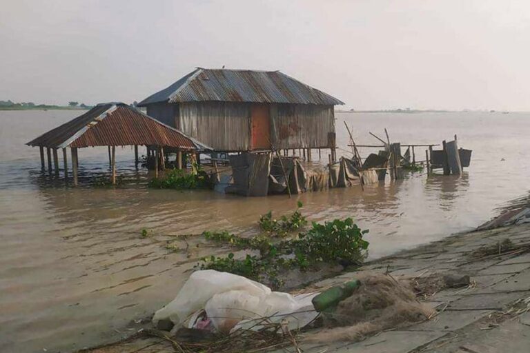 大雨によりクルナの8,000以上の魚の養殖場と農作物が壊滅