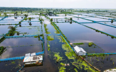 雨でクルナの魚の養殖場の60%が被害