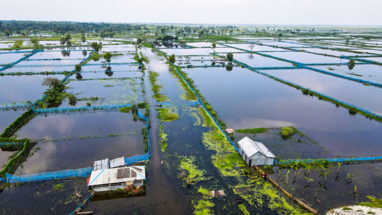 雨でクルナの魚の養殖場の60%が被害