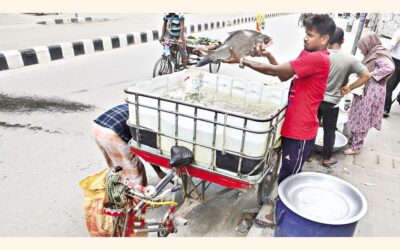 生きた魚を売る商人の姿が見られる