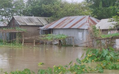 川の水位上昇によりクリグラムで洪水が発生