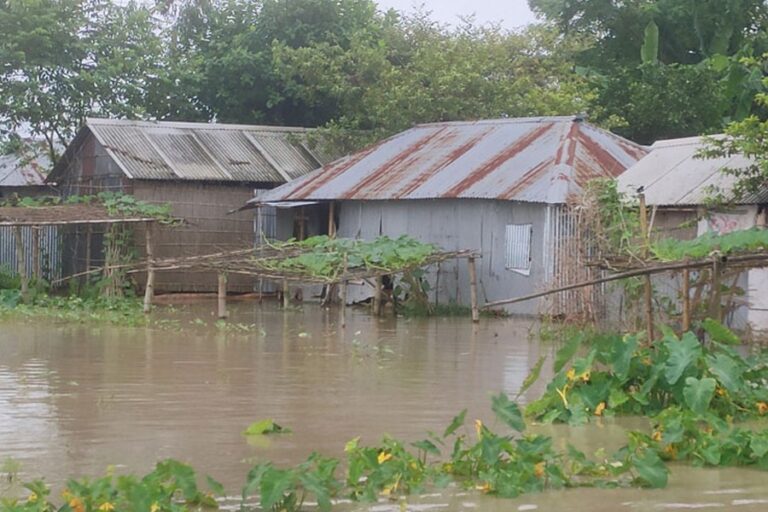 川の水位上昇によりクリグラムで洪水が発生