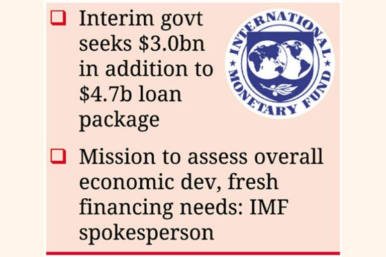 外貨危機の中、IMF融資の拡大が期待される