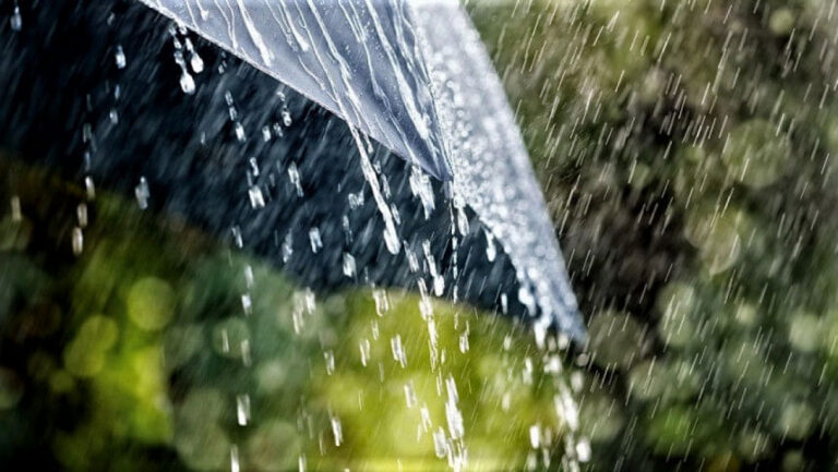 雷雨、大雨が予想されます