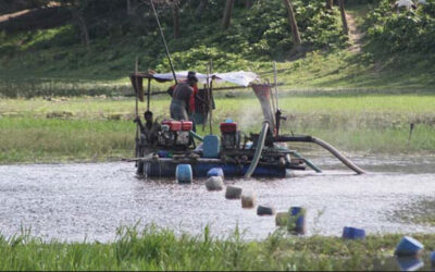 違法な砂採掘がジャショア湿地帯を危険にさらす